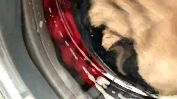 Konzept Waschmaschine Industrie Wäscheservice Reinigung Von Industriekleidung — Stockvideo