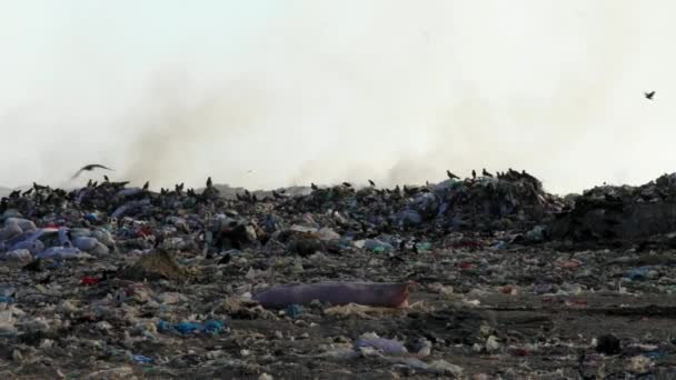 リサイクルプラスチック環境廃棄物埋立ゴミゴミ — ストック動画