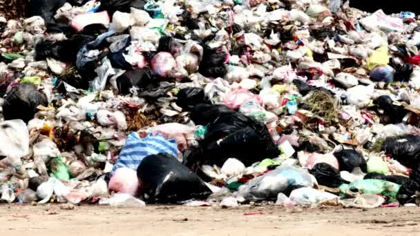 ビニール袋のゴミの高い山で埋め立てます 廃棄物汚染概念生態学 — ストック動画