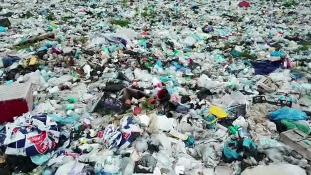 自然生態学の概念を汚染するペットボトルやゴミの山 — ストック動画