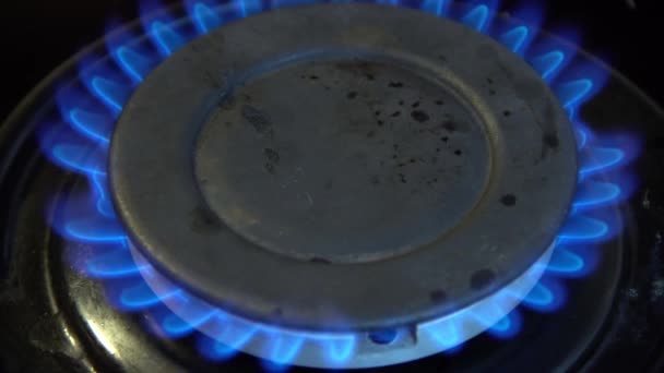 Primer Plano Estufa Gas Llama Azul Fuego Quemar Fondo Caliente — Vídeos de Stock