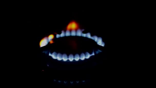 Gas Burning Kitchen Gas Stove Lighting Stove Working Concept Black — Stock Video