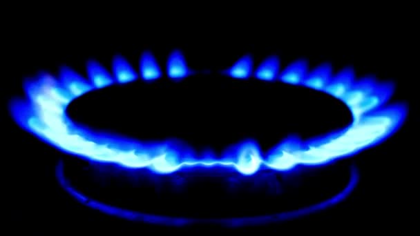 Cocina Gas Sobre Fondo Negro Inflamación Gas Natural Estufa Quemador — Vídeos de Stock
