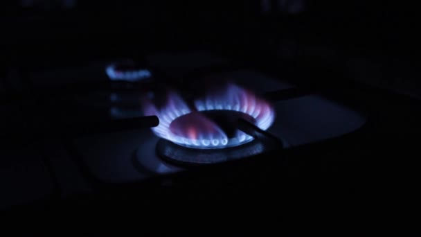 Haus Gas Elektrisch Innenraum Wärme Verbrennen Energie Flamme Heißer Kamin — Stockvideo