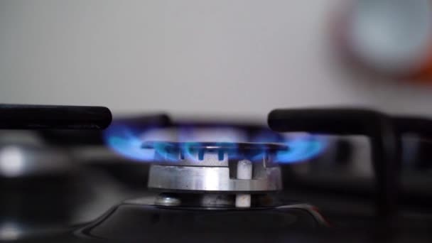 青い炎の調理でオーブンを燃やすガスストーブの閉まり — ストック動画