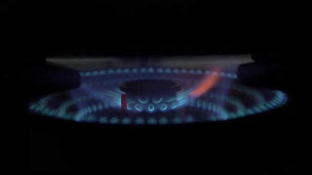 Fuego Cocina Gas Quemador Gas Cocina Moderna Estufa Llamas Azules — Vídeos de Stock