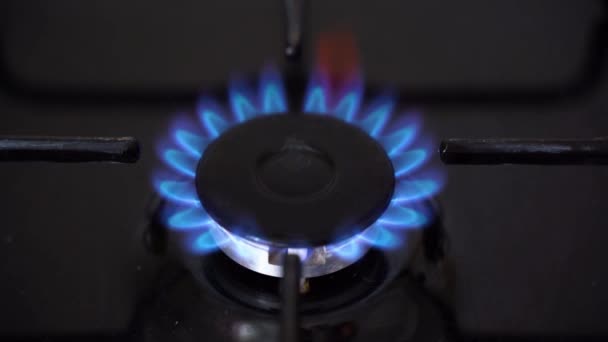 Encendido Llama Estufa Gas Azul Cocina Quemador Gas Encendido Fondo — Vídeos de Stock