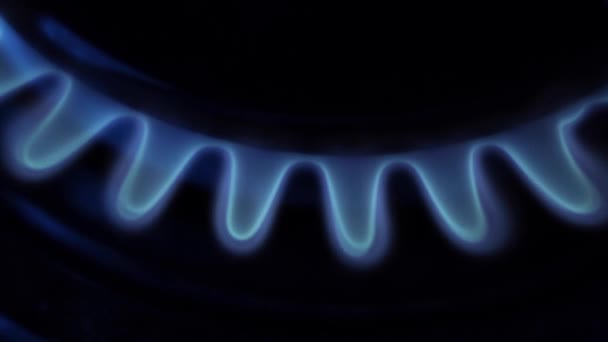 Fuego Cocina Gas Quemador Gas Cocina Moderna Estufa Llamas Azules — Vídeos de Stock