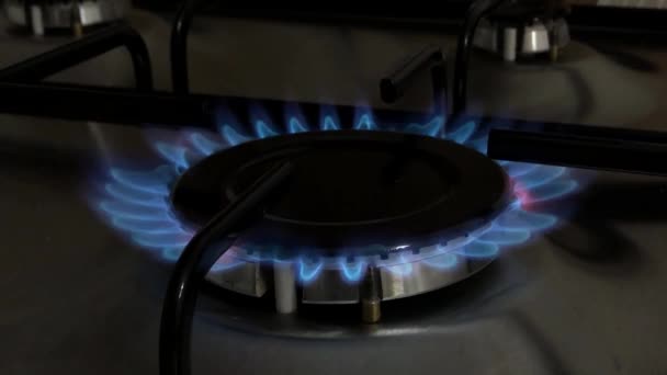 Close Stufa Gas Fiamma Blu Fuoco Bruciare Sfondo Caldo Primo — Video Stock