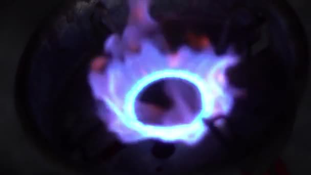 Крупный План Газовой Плиты Голубое Пламя Огонь Теплый Фон Крупным — стоковое видео