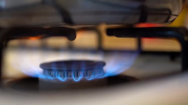 Cucina Gas Sfondo Nero Infiammazione Gas Naturale Nel Piano Cottura — Video Stock