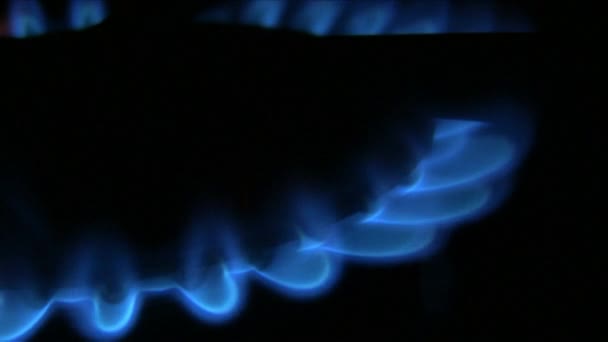 Light Gas Cooker Mavi Gaz Ocağı Yakın Çekim Alevi Parlayan — Stok video