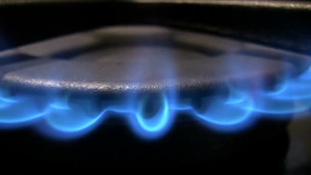 Închideți Sobă Gaz Care Arde Cuptor Fundal Gătit Flacără Albastră — Videoclip de stoc