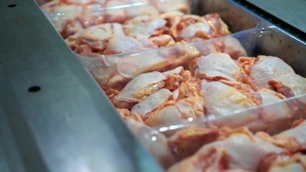 Фабрика Пищевой Промышленности Части Куриного Мяса Лежащие Контейнерах — стоковое видео