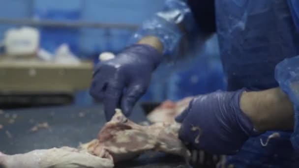 Pracownik Pracujący Przemyśle Spożywczym Przemysłowe Odżywianie Roślin Produkcja Mięsa Drobiowego — Wideo stockowe