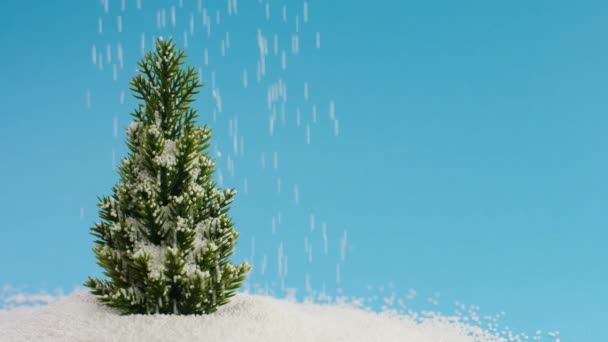 Boże Narodzenie Drzewo Tło Uroczystości Wakacje Kopia Przestrzeń Tekst Szablon — Wideo stockowe