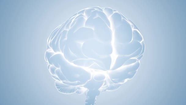 Rentgen Głowy Mózgu Ludzkiego Koncepcji Połączeń Neuronowych Badań Medycznych — Wideo stockowe
