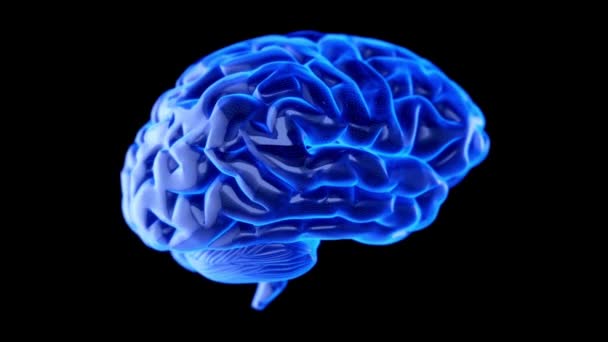 Röntgen Huvudet Och Den Mänskliga Hjärnan Begreppet Neurala Förbindelser Och — Stockvideo