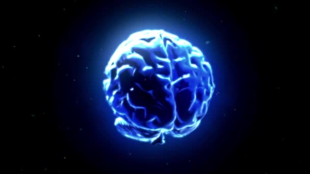 从神经连接和医学研究的角度对人头和人脑的X射线检查 — 图库视频影像