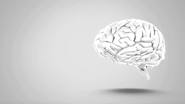 Mózg Zdrowie Umysł Pomysł Głowa Koncepcja Nauka Ludzka Grafika Cgi — Wideo stockowe