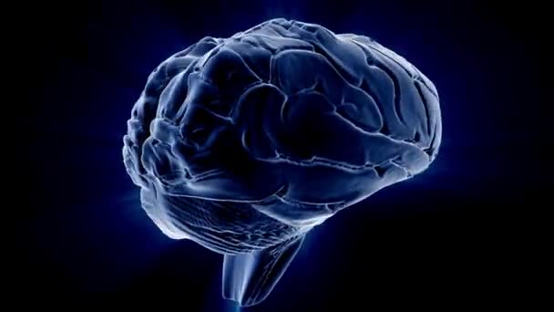 Intelectual Cerebro Cabeza Concepto Conciencia Pensamiento Pantalla Mente Tecnología — Vídeos de Stock