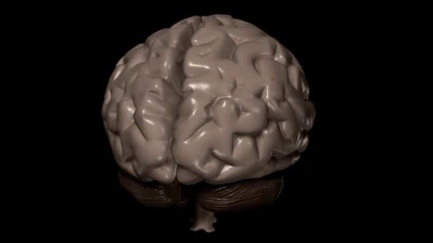 Cerebro Salud Mente Idea Cabeza Concepto Humano Ciencia Gráfico Cgi — Vídeo de stock