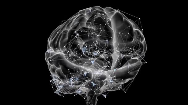 연구의 개념에서 머리와 인간의 엑스레이 — 비디오