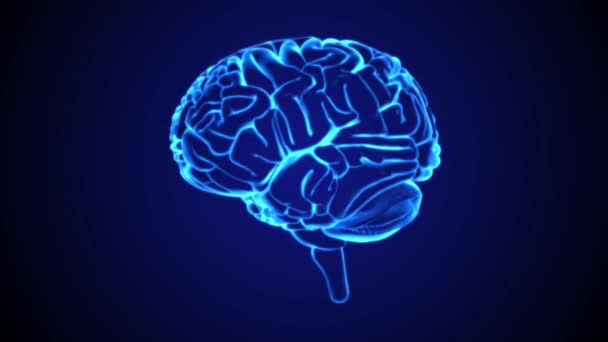 Hersenen Hologram Blauw Zwart Bacground Concept Technologie Medisch Abstract — Stockvideo