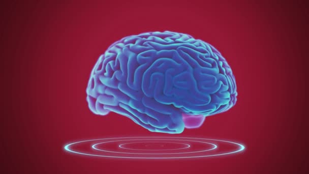 Cerebro Holograma Azul Tecnología Concepto Bacground Negro Resumen Médico — Vídeos de Stock