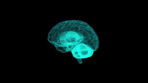 Голограмма Мозга Синий Черном Bacground Концепт Технологии Медицинской Абстракции — стоковое видео