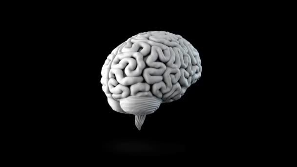 Renderização Cérebro Humano Anatomia Ciência Conceito Médico Pesquisa Computador — Vídeo de Stock