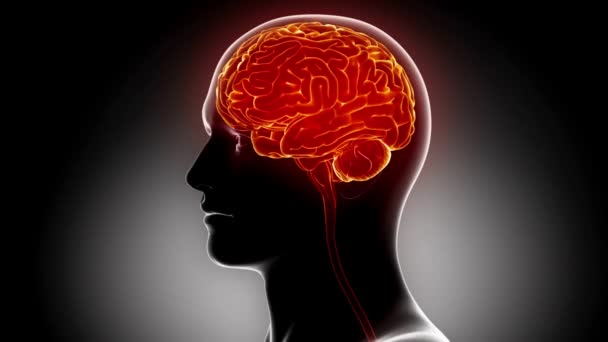 Cerebro Fondo Enfermedades Neurológicas Tumores Cirugía Cerebral — Vídeos de Stock