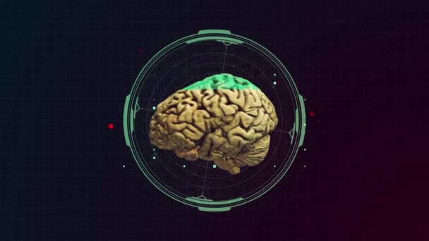 Mózg Tle Choroby Neurologiczne Nowotwory Koncepcja Chirurgii Mózgu — Wideo stockowe