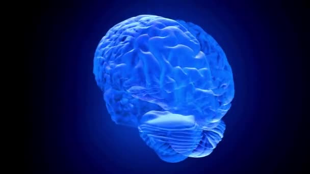 Καθιστούν Του Ανθρώπινου Εγκεφάλου Ανατομία Έννοια Της Επιστήμης Ιατρική Έρευνα — Αρχείο Βίντεο