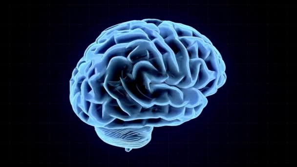 Renderowanie Ludzkiego Mózgu Anatomia Nauka Pojęcie Medyczny Komputer Badawczy — Wideo stockowe