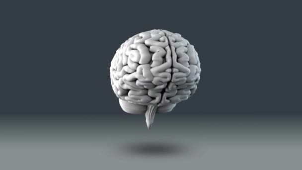 Animace Digitální Data Síťové Propojení Konceptu Lidského Mozku Technologie — Stock video