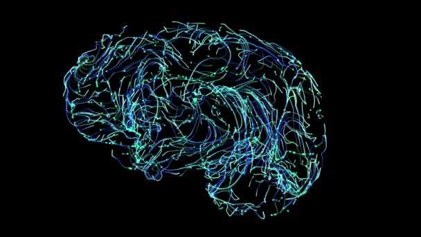 Animation Digital Data Network Connection Human Brain Concept Design Technology — Stock Video