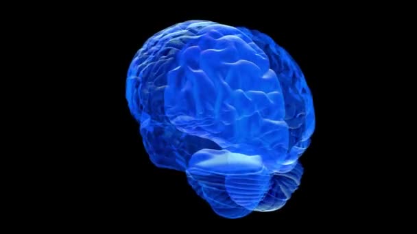 Animasyon Sinir Sistemi Beyin Küresi Kusursuz Döngü Siyah Zemin Tıp — Stok video