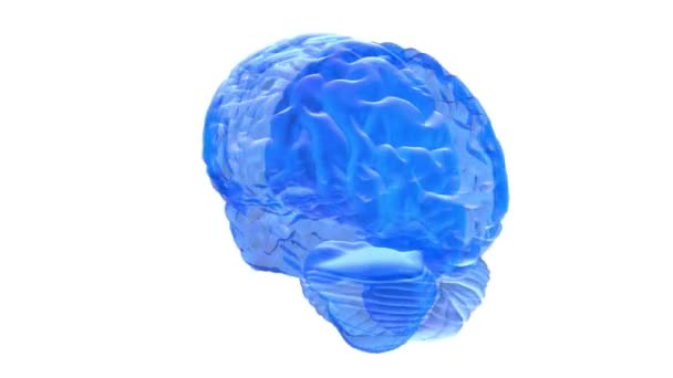 Animation Digitale Daten Und Netzwerkverbindung Des Menschlichen Gehirns Konzeption Technologie — Stockvideo