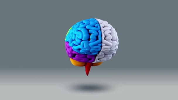 Animação Sistema Nervoso Cérebro Esfera Sem Costura Loop Preto Fundo — Vídeo de Stock