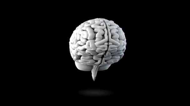 Animație Sistemul Nervos Sfera Creierului Buclă Fără Sudură Fundal Negru — Videoclip de stoc