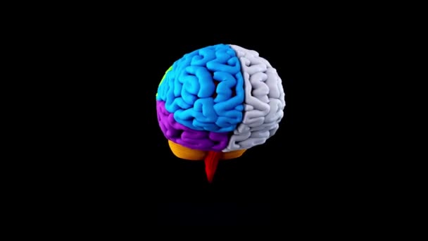 大脑思维图解认为背景为黑色的智能结构大脑 — 图库视频影像