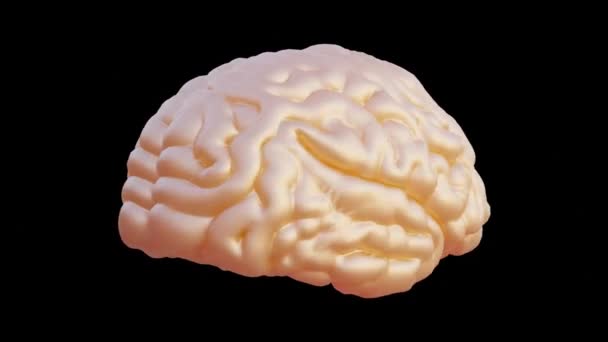 Mózg Renderować Nauka Inteligencja Głowa Pracuje Ludzki Anatomia Pojęcie Czarny — Wideo stockowe