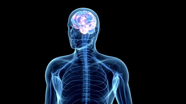 Мозг Рендеринг Научный Интеллект Глава Работает Человека Анатомии Концепции Черном — стоковое видео