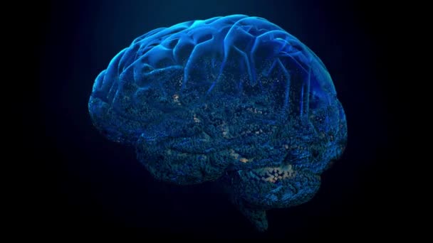Gehirn Idee Illustration Denken Intelligenz Strukturelle Gehirne Mit Hintergrund Schwarz — Stockvideo