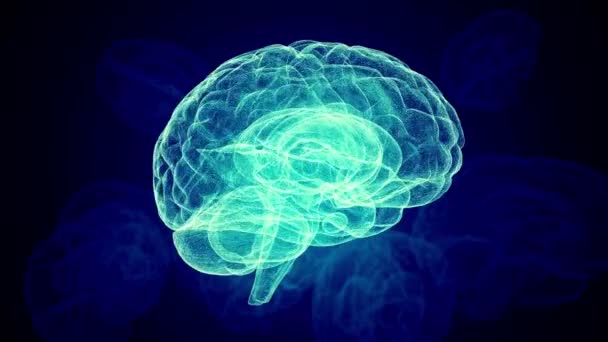 Raios Cabeça Cérebro Humano Conceito Conexões Neurais Pesquisa Médica — Vídeo de Stock