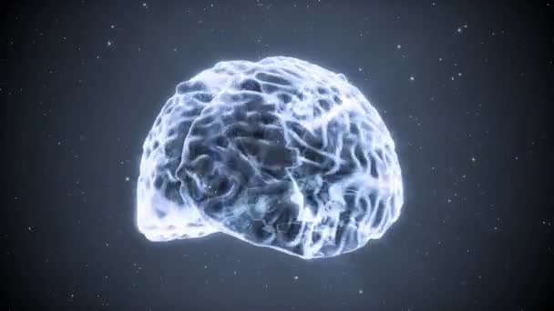Иллюстрация Мозг Наука Человека Анимация Анатомия Фон Черный — стоковое видео