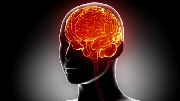 Intelektuální Mozek Hlava Koncepce Vědomí Myšlení Zobrazit Mysl Technologie — Stock video