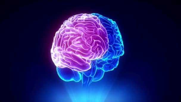 Cerebro Humano Holograma Giratorio Cabeza Humana Luz Azul Movimiento Bucle — Vídeos de Stock