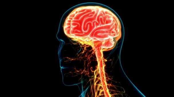 Идея Мозга Иллюстрация Думать Интеллект Структурный Мозг Черным Фоном — стоковое видео